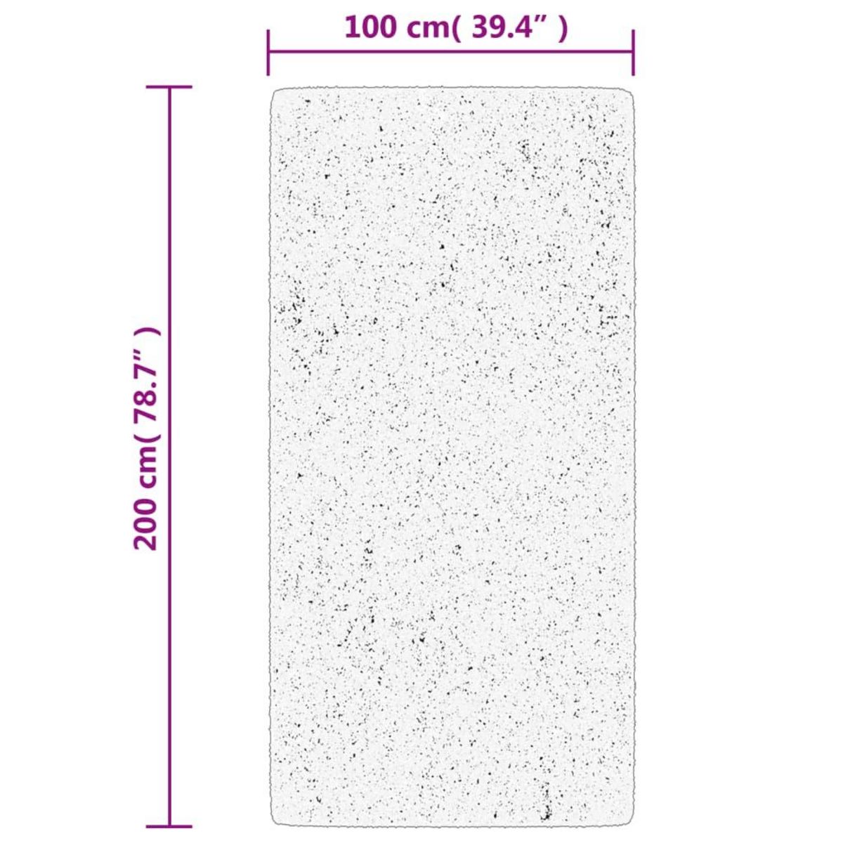 VIDAXL Tapis shaggy a poils longs moderne beige anthracite 100x200 cm