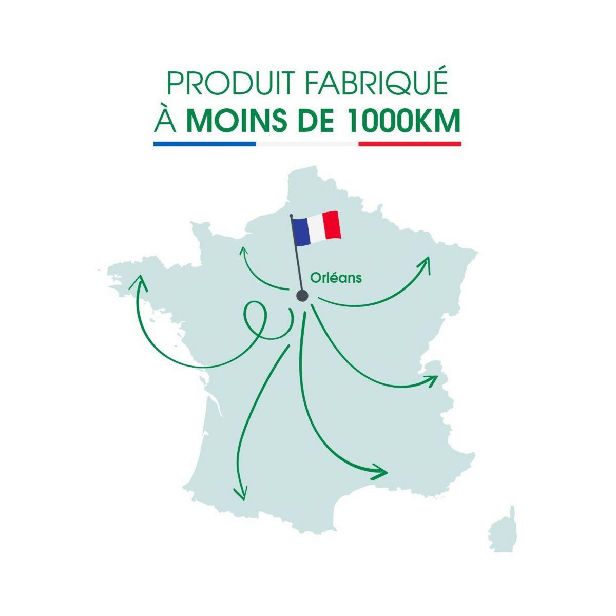 Sauter Four encastrable SOP6204LB