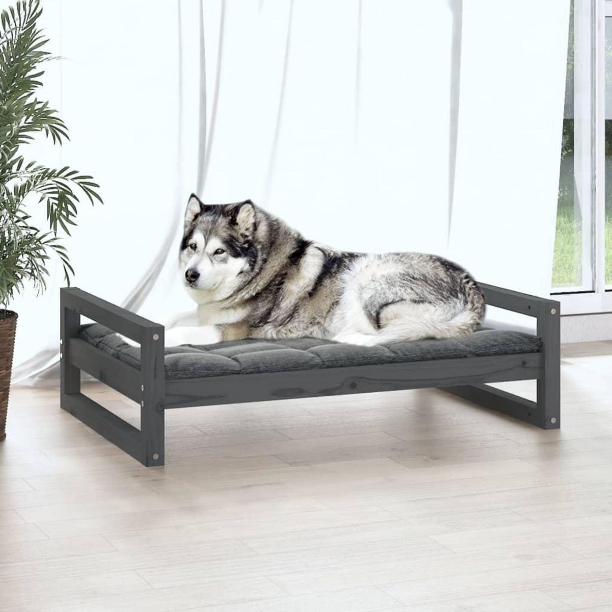 VIDAXL Lit pour chien Gris 105,5x75,5x28 cm Bois de pin solide