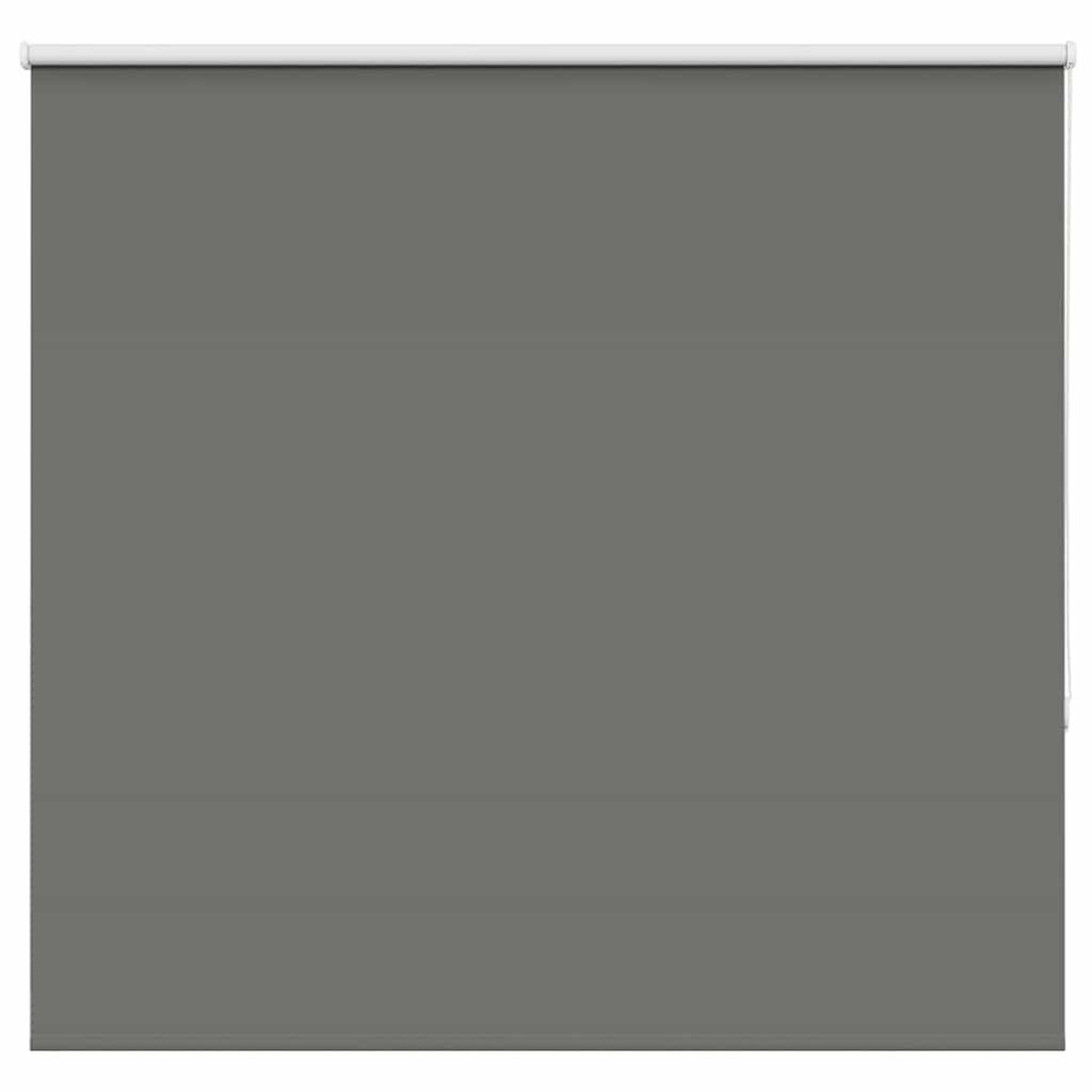 Voir la diapositive 2 : VIDAXL Store enrouleur occultant largeur du tissu 146,6 cm polyester