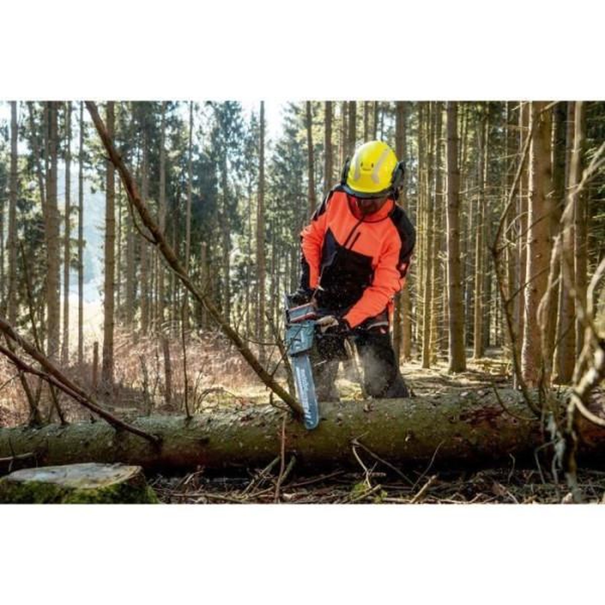 Voir la diapositive 4 : METABO Tronçonneuse sans fil metabo ms 36-18 ltx bl 40 t- 18 v - carton