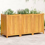 Voir la diapositive 1 : VIDAXL Jardiniere avec doublure 150x50x75 cm bois massif d'acacia