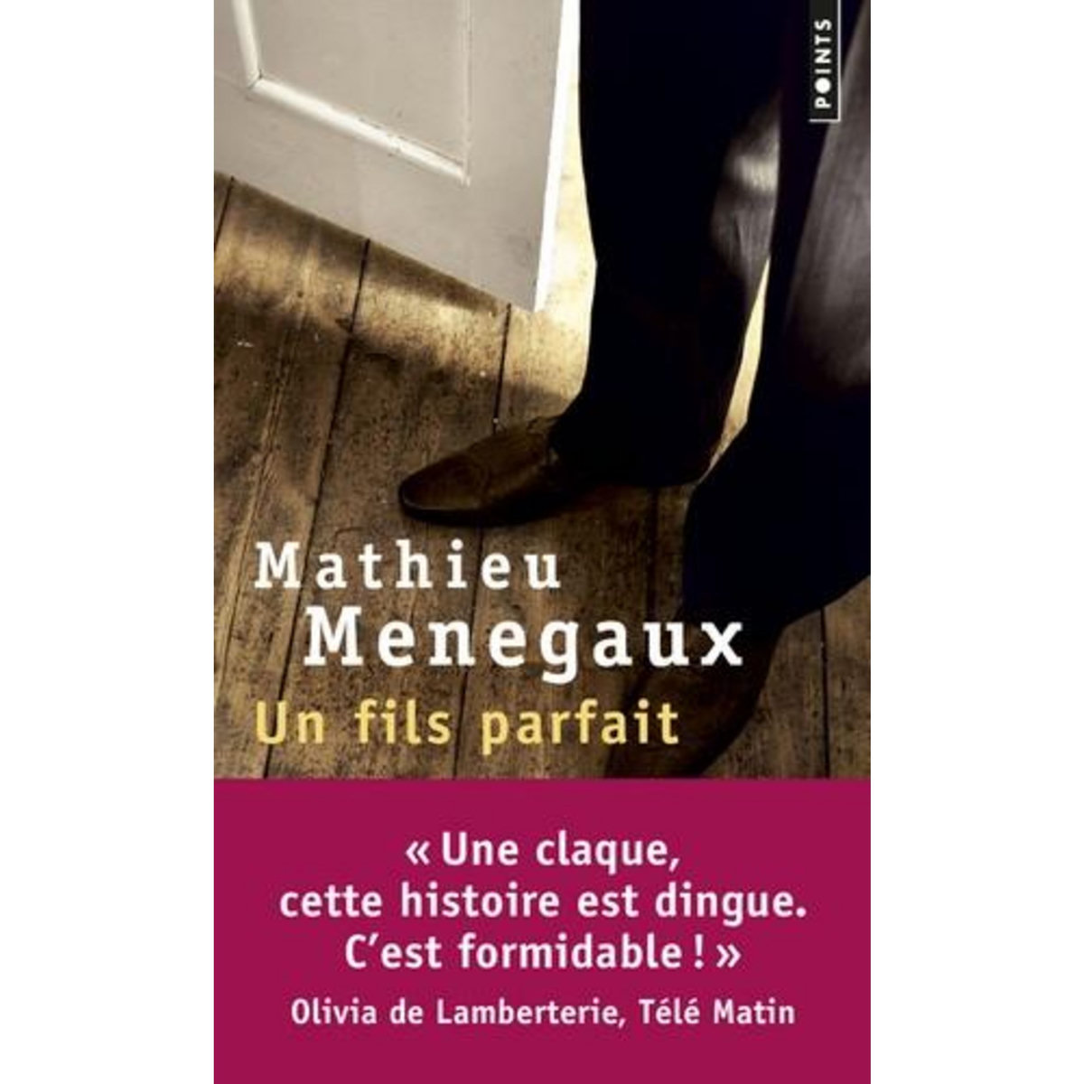 UN FILS PARFAIT, Menegaux Mathieu