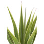 Voir la diapositive 2 : Paris Prix Plante Artificielle en Pot  Agave  115cm Vert