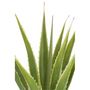 Voir la diapositive 2 : Paris Prix Plante Artificielle en Pot  Agave  115cm Vert