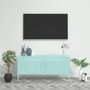 Voir la diapositive 1 : VIDAXL Meuble TV Vert menthe 105x35x50 cm Acier
