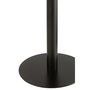 Voir la diapositive 4 : Paris Prix Lot de 2 Tables d'Appoint en Métal  Ice  50cm Noir