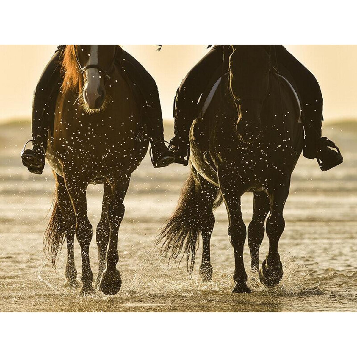 Smartbox Séjour de 2 jours avec petit-déjeuner et balade à cheval en France en duo - Coffret Cadeau Séjour