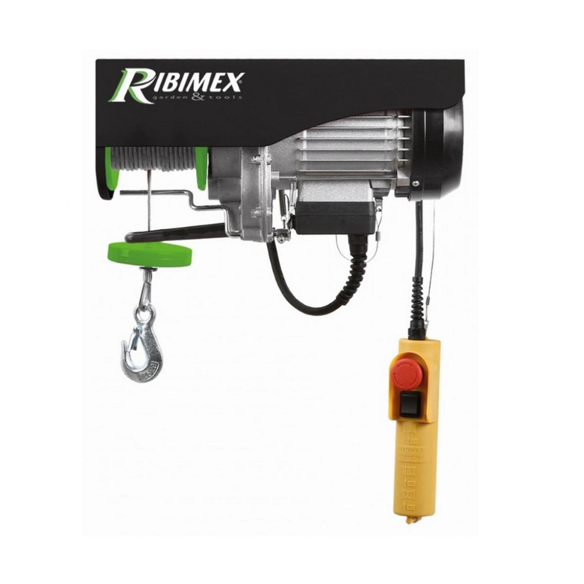 Ribimex Palan électrique 480w noir - pe100/200pt