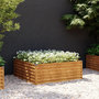 Voir la diapositive 1 : VIDAXL Lit sureleve de jardin 100x100x36 cm acier corten