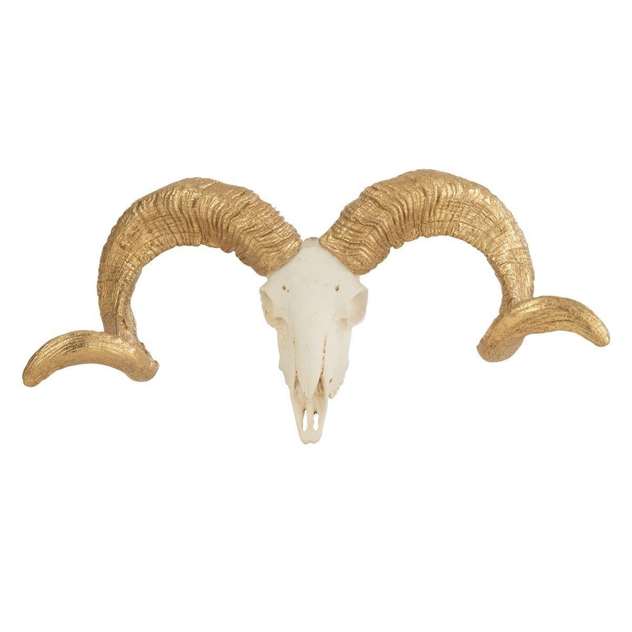 Voir la diapositive 1 : J-LINE Statuette Déco  Crâne Mouton  32cm Blanc & Or