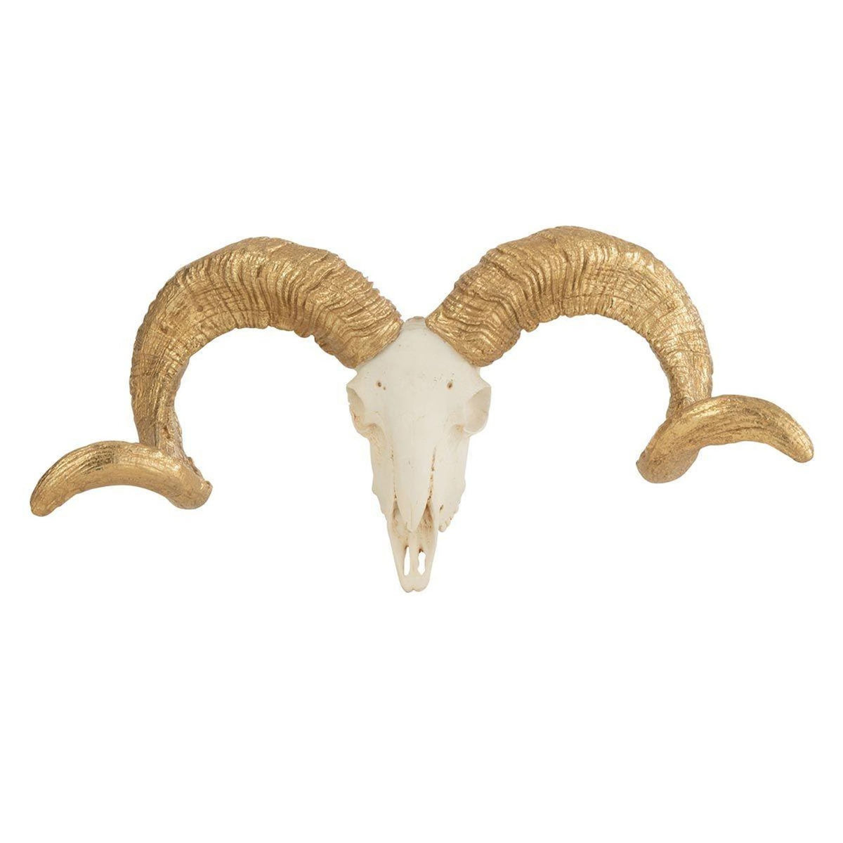 Paris Prix Statuette Déco  Crâne Mouton  32cm Blanc & Or