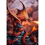 Voir la diapositive 1 : Trefl Puzzle 1000 pièces Premium Plus : Dragon de Feu - Fantasy Collection
