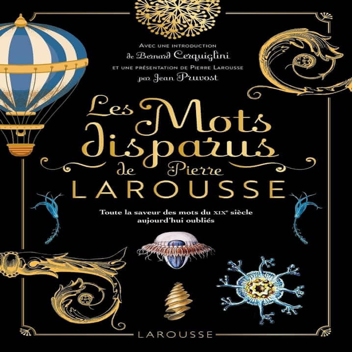 LES MOTS DISPARUS DE PIERRE LAROUSSE, Larousse Pierre