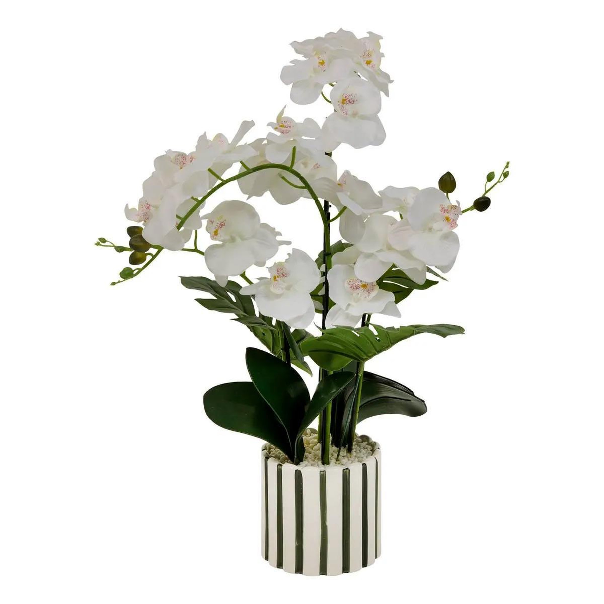ATMOSPHERA Orchidée artificielle en pot  asia  81cm vert