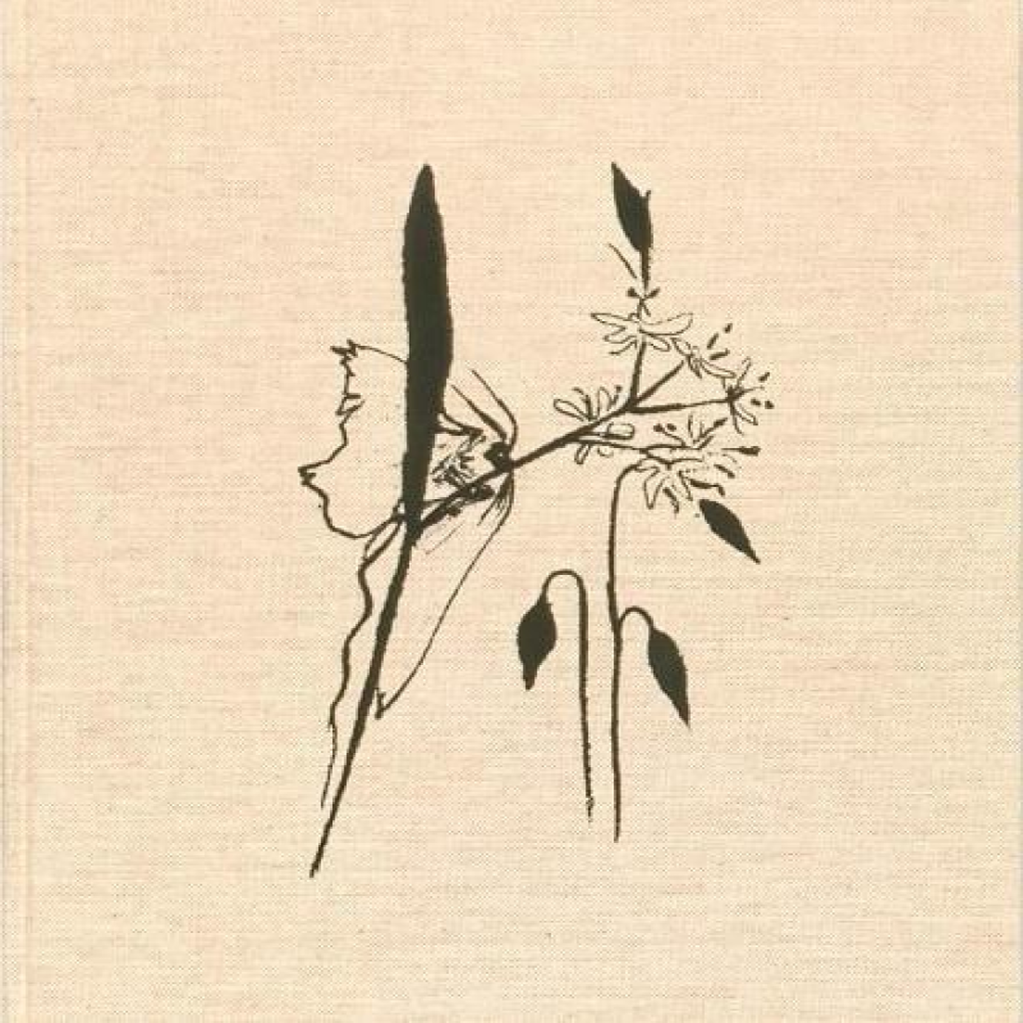 LIVRES Refuge : Lara Gasparotto