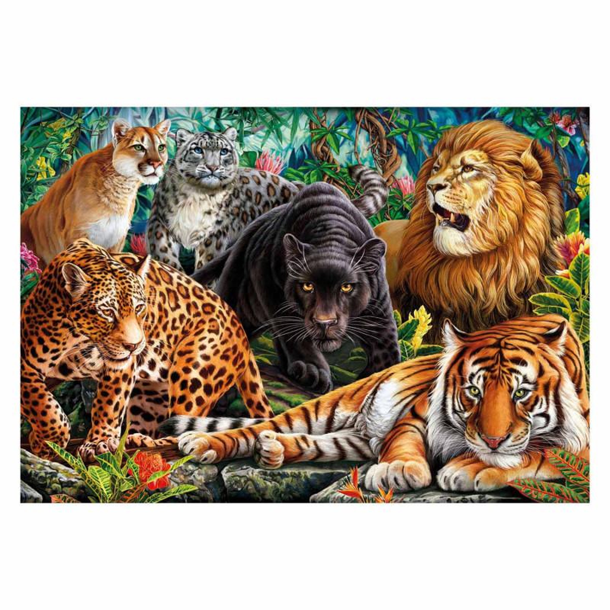 Voir la diapositive 2 : CLEMENTONI Clementoni Puzzle Les félins 500 pièces
