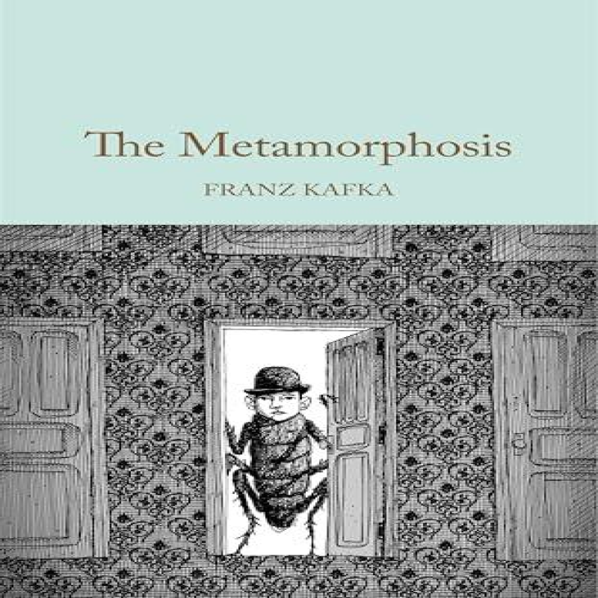 LIVRES The Metamorphosis - Franz Kafka