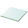 Voir la diapositive 1 : VIDAXL Panneau pour etagere Verre transparent 20 x 20 cm