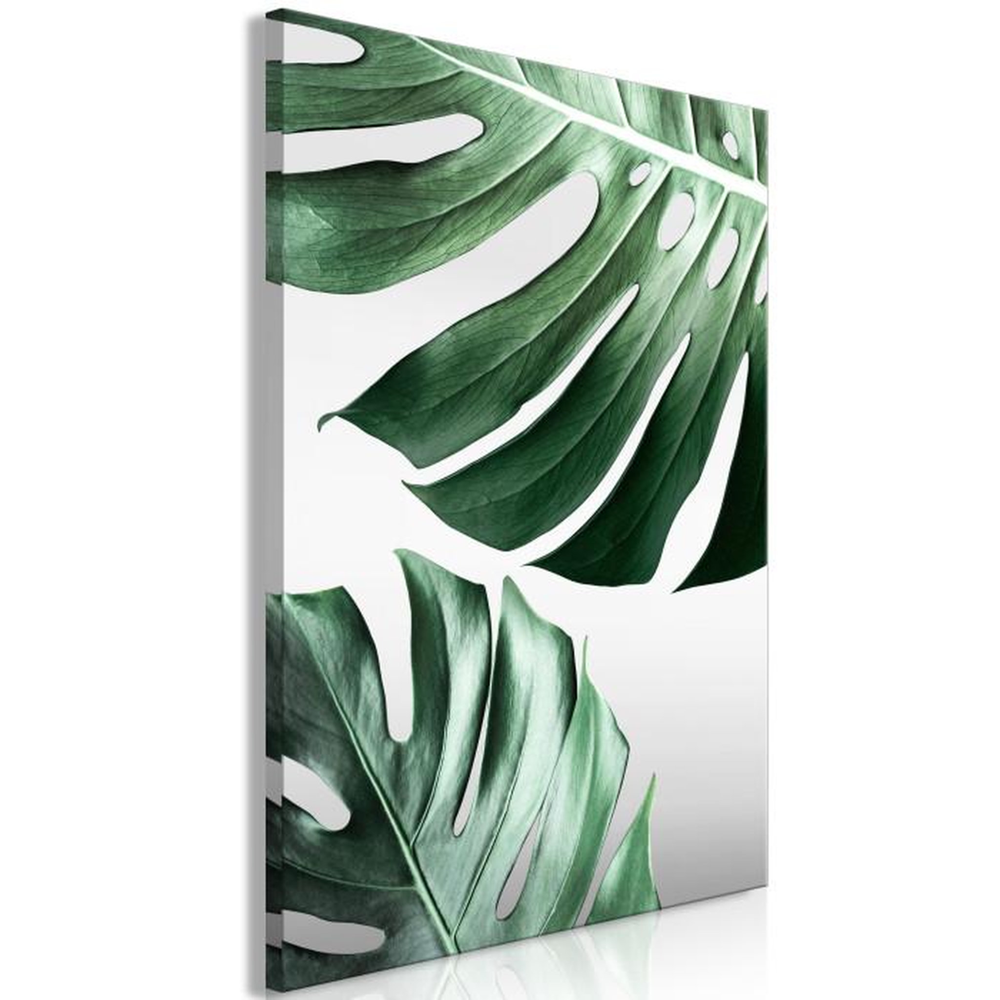 Paris Prix Tableau Imprimé  Monstera Leaves. Coloris disponibles : Multicolore