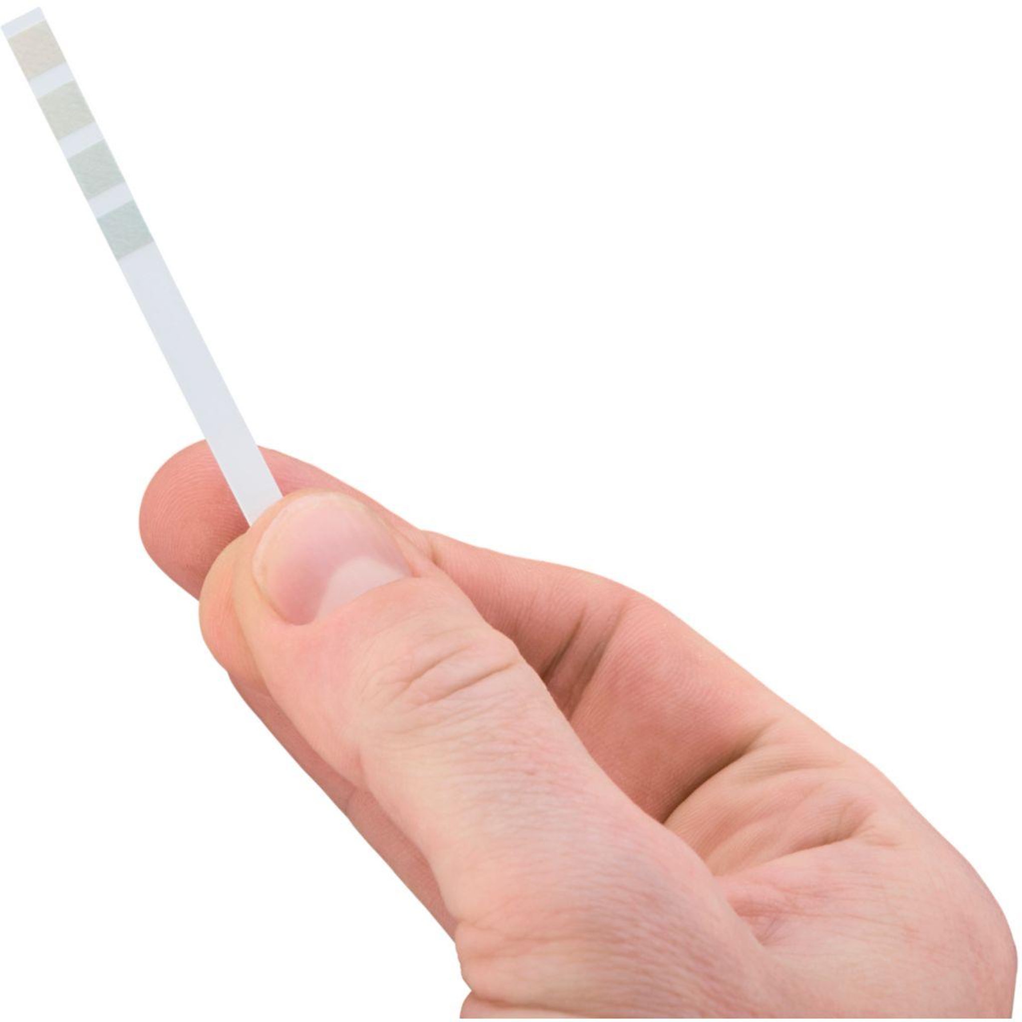 Voir la diapositive 2 : KRUPS Détartrant XW132000