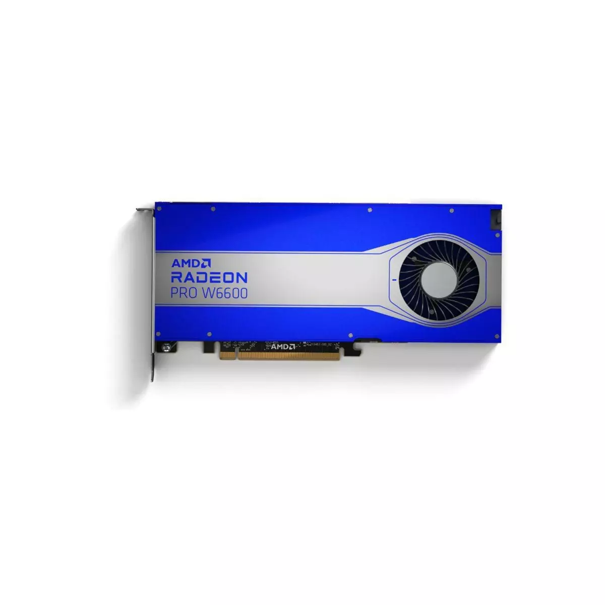 AMD Carte graphique Radeon Pro W6600 8GB Graphic Card