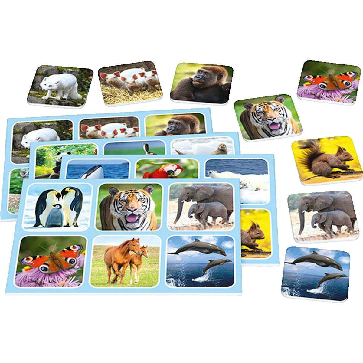 Schmidt Spiele Jeu de société Schmidt Spiele Zoo Lotto Éducatif