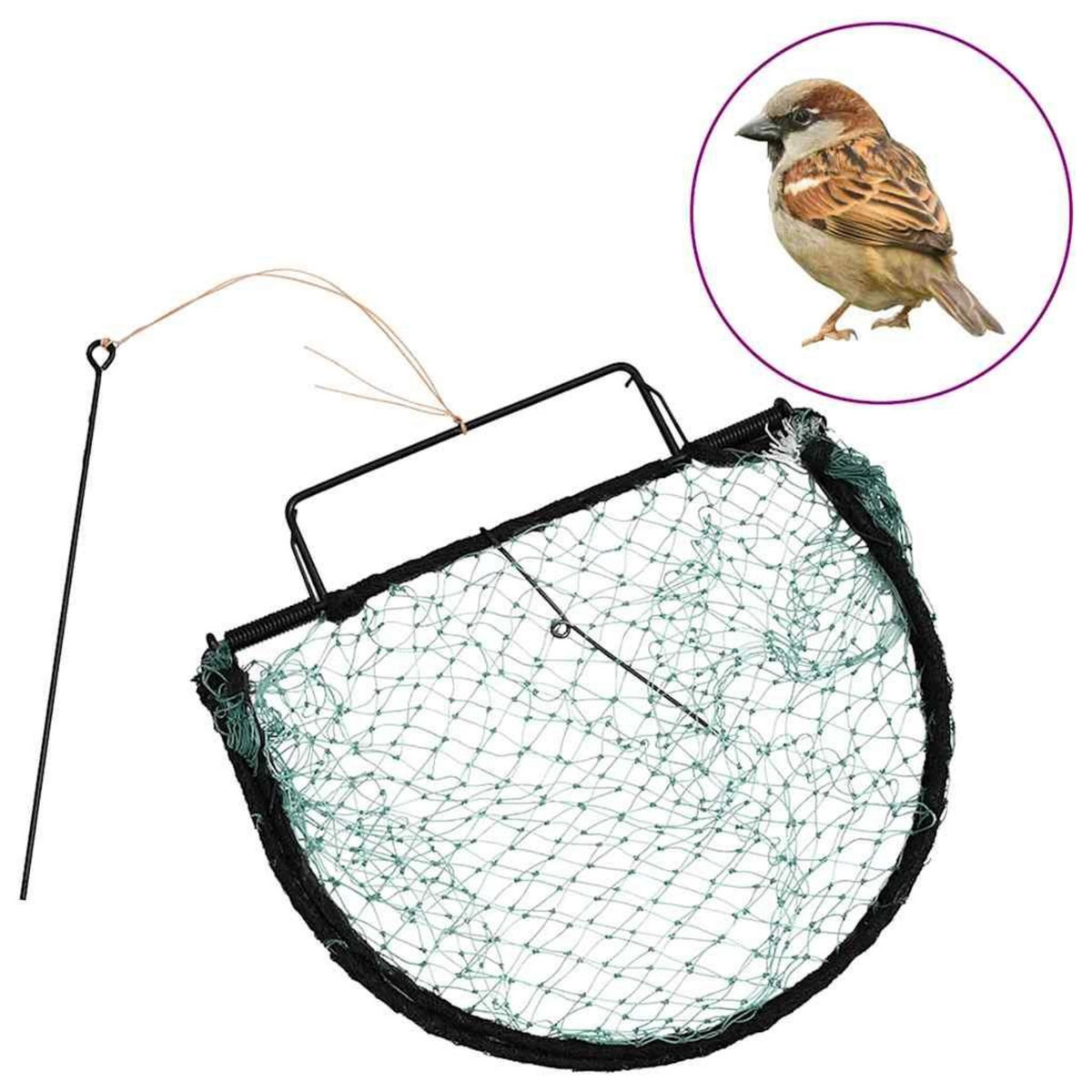 VIDAXL Piege a oiseaux vert 30 cm acier