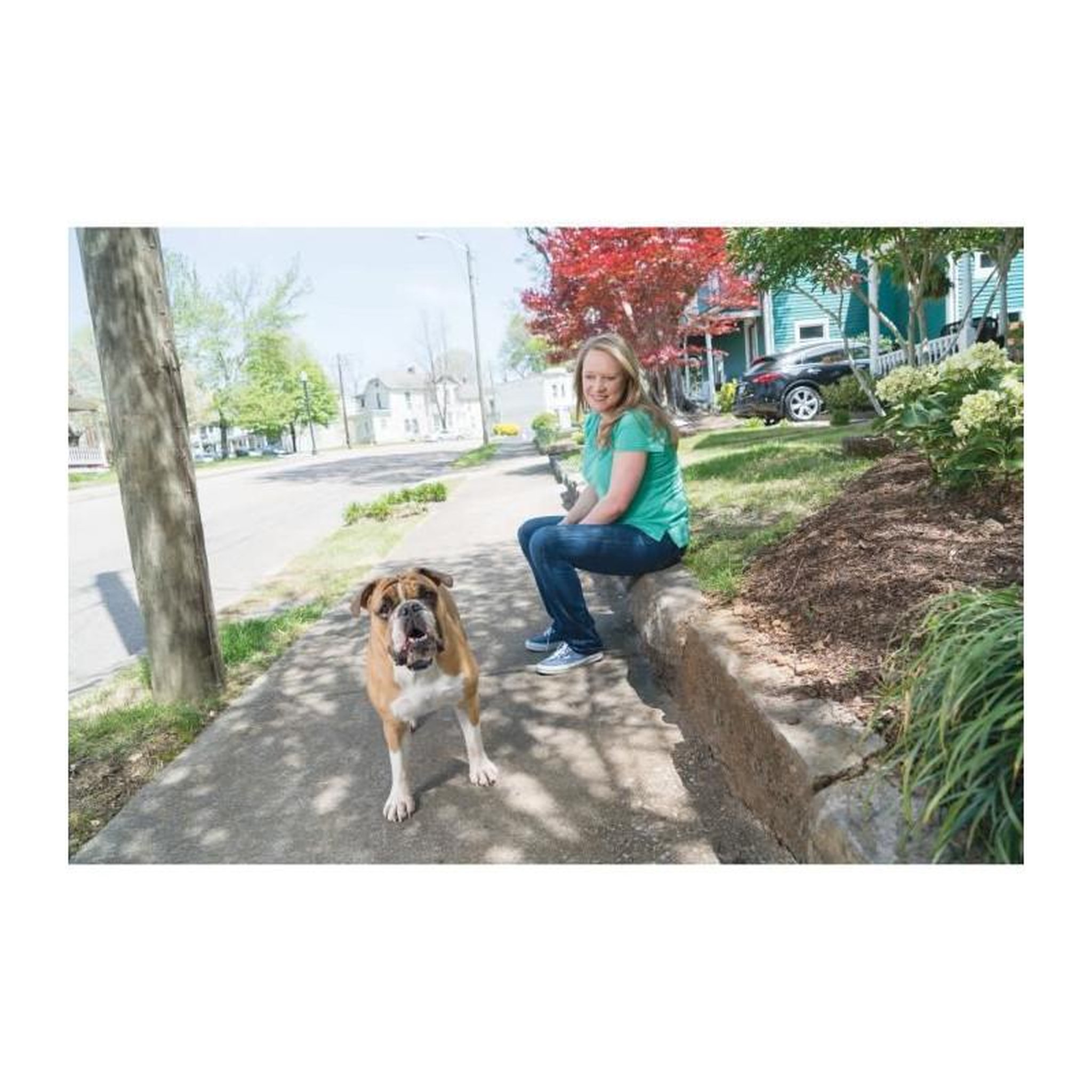 Voir la diapositive 2 : PETSAFE Systeme daide a leducation 600 m