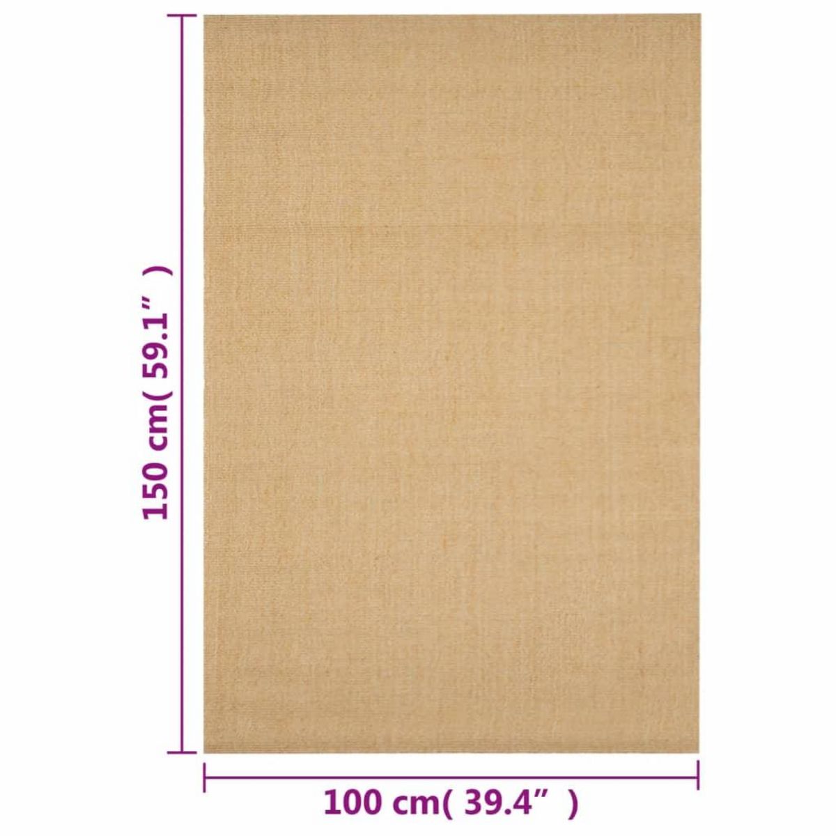 VIDAXL Tapis Sisal naturel 100x150 cm