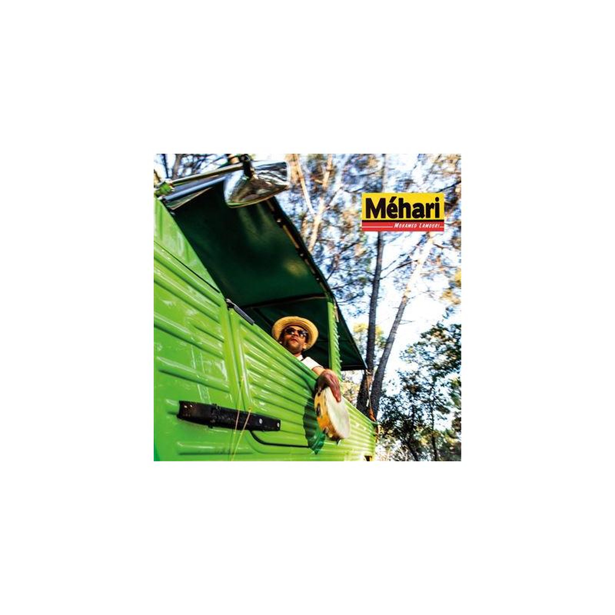 Vinyle méhari sans marque corps vert vif avec accents foncés
