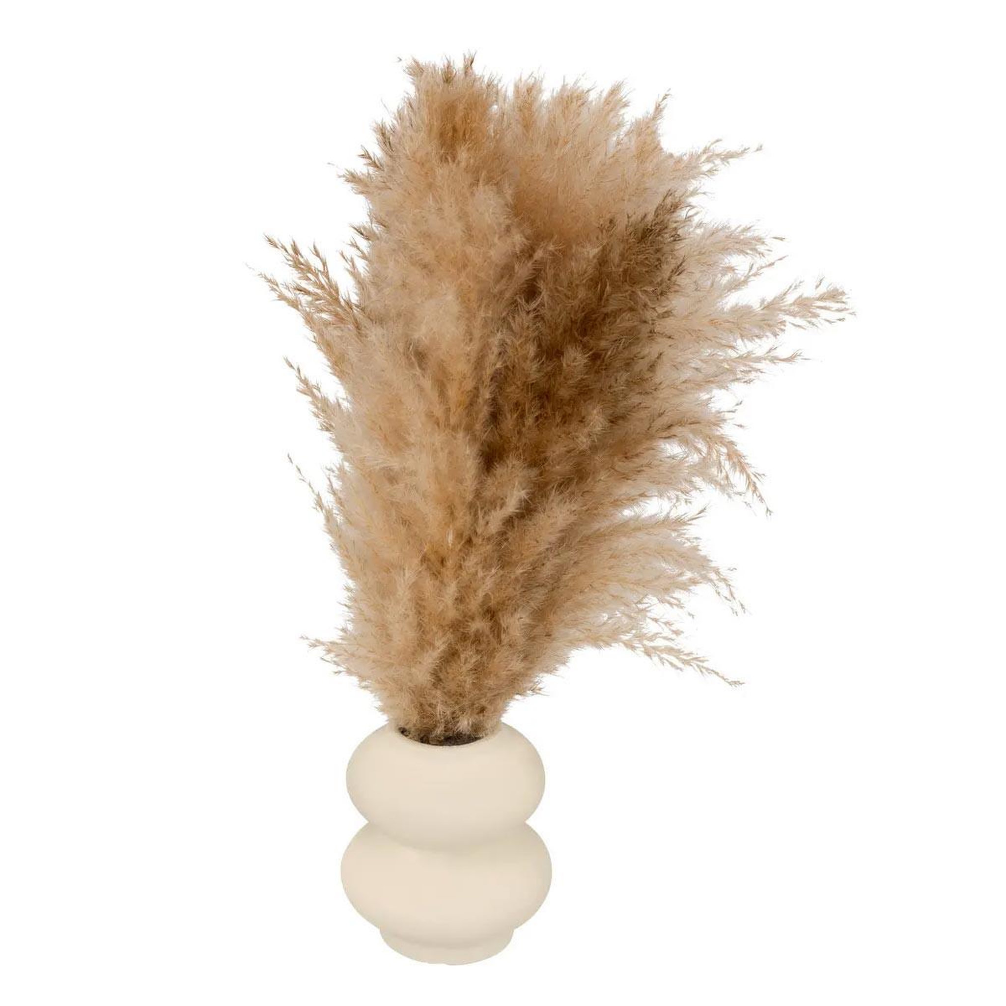 ATMOSPHERA Composition pampa artificielle  glen  42cm blanc