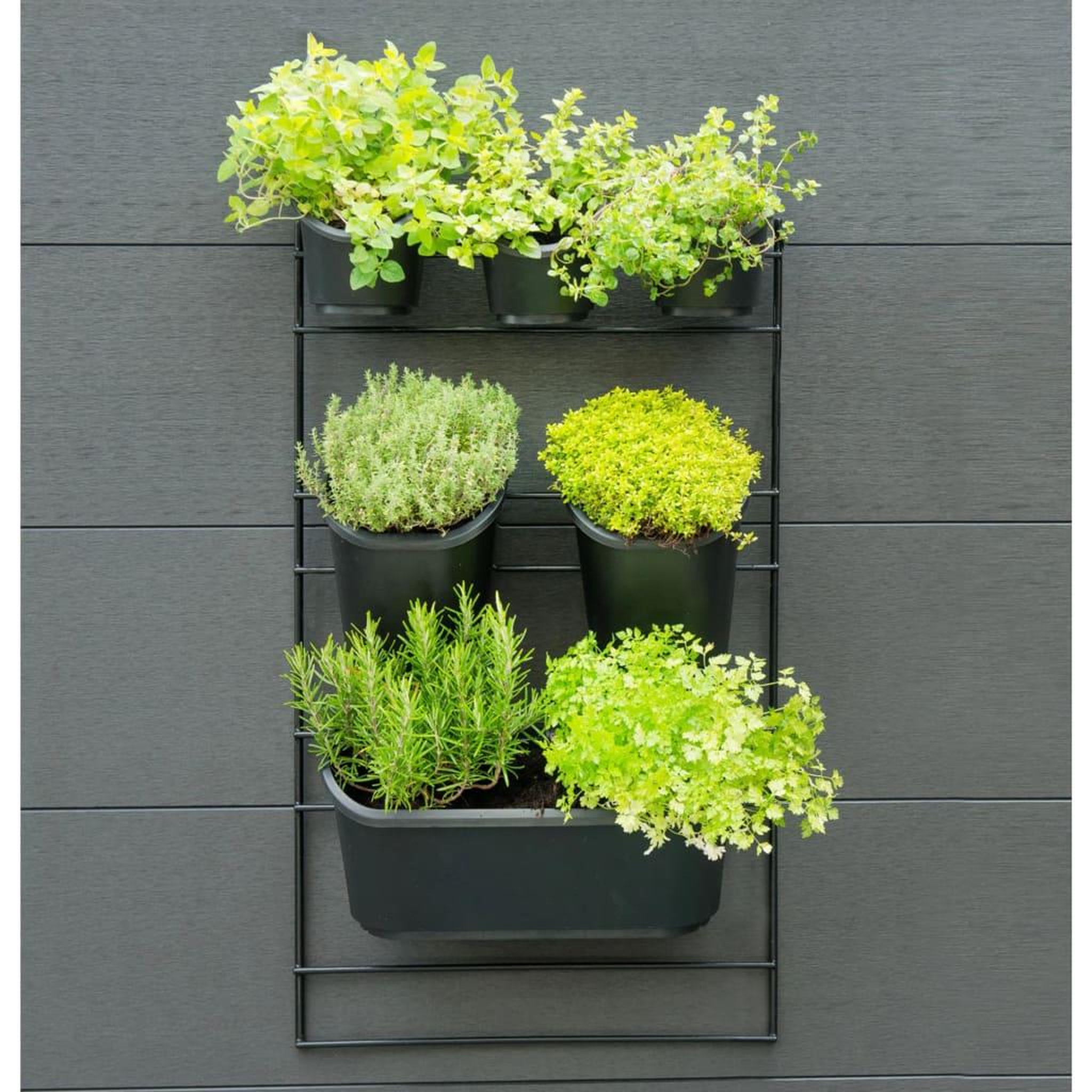 Voir la diapositive 4 : NATURE Nature Kit mural de jardin vertical