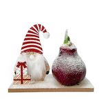 PLANT IN A BOX Amaryllis - Hippeastrum 'Pays des Merveilles Lutin'