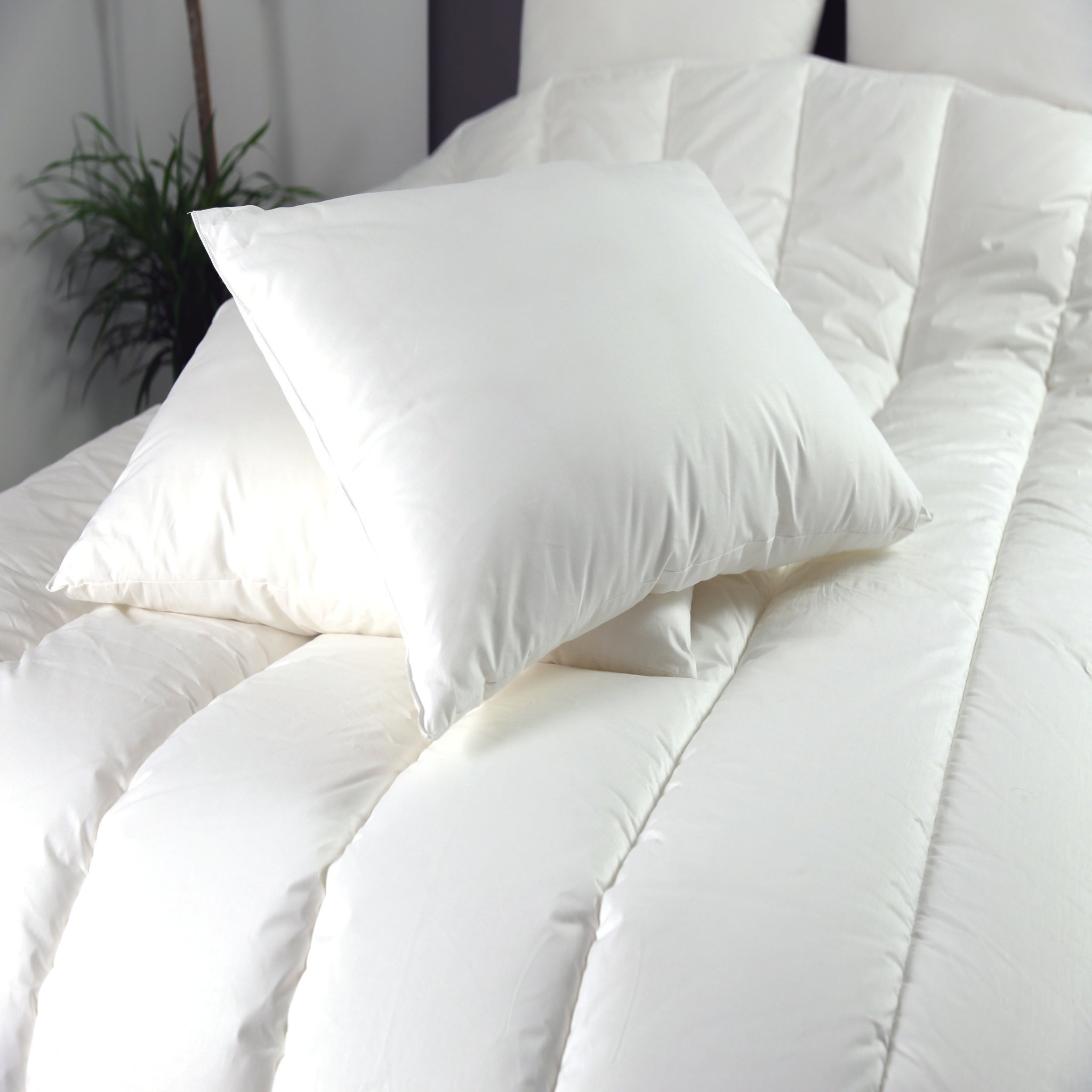 Voir la diapositive 1 : DODO Lot de 2 oreillers confort moelleux en microfibre toucher peau de pêche DOUCES REVERIES 
