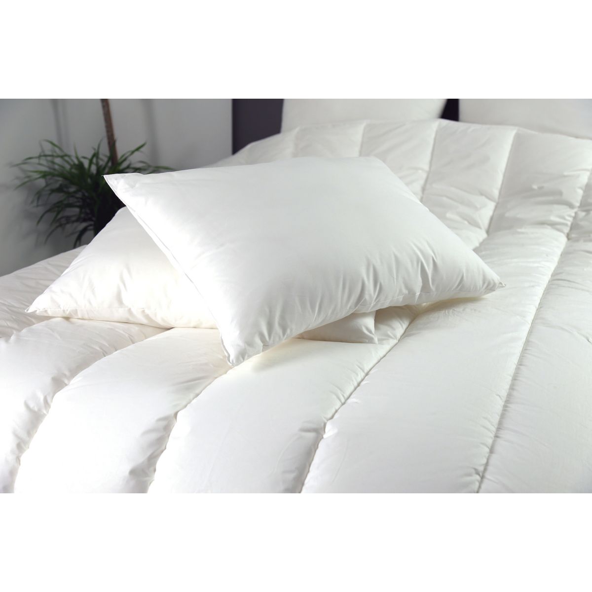 DODO Lot de 2 oreillers confort moelleux en microfibre toucher peau de pêche DOUCES REVERIES 