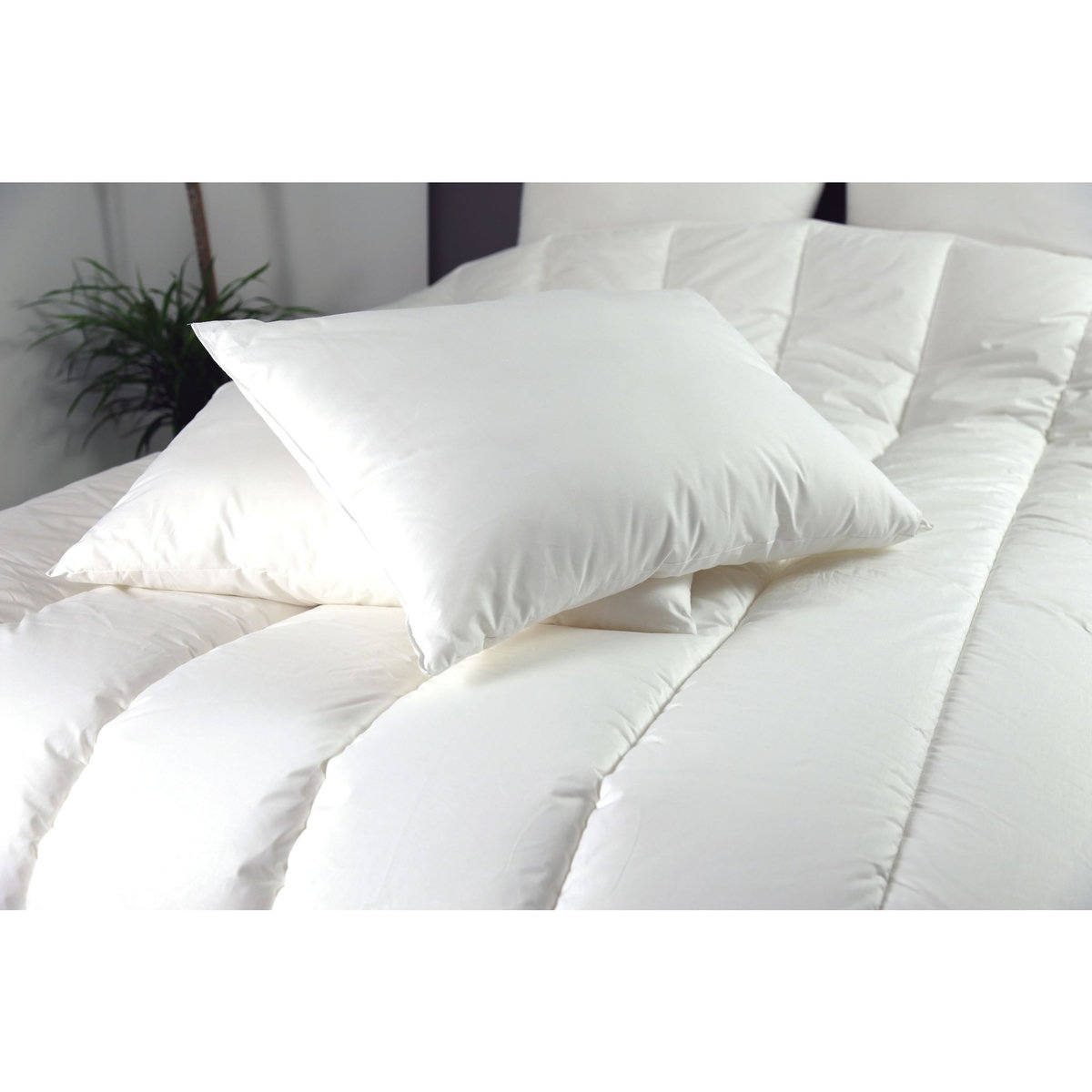 DODO Lot de 2 oreillers confort moelleux en microfibre toucher peau de pêche DOUCES REVERIES 