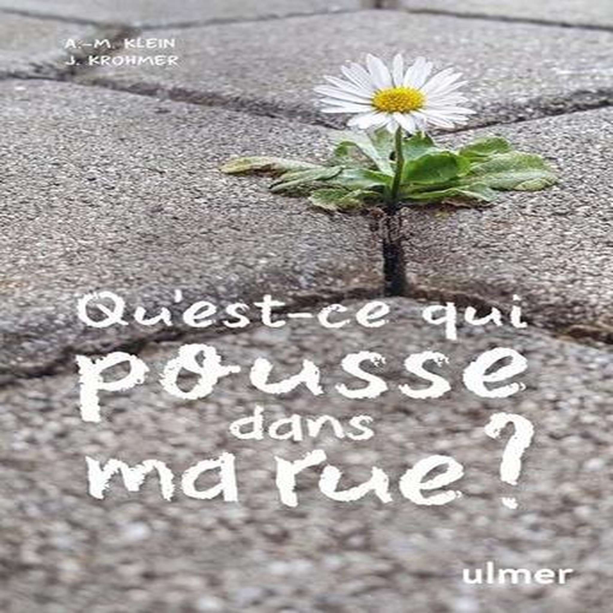 QU'EST-CE QUI POUSSE DANS MA RUE ?, Klein Alexandra-Maria