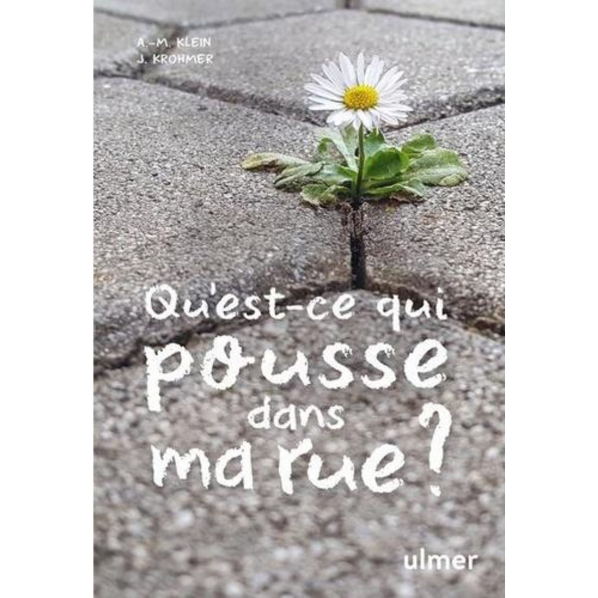 QU'EST-CE QUI POUSSE DANS MA RUE ?, Klein Alexandra-Maria