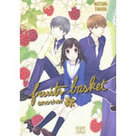 FRUITS BASKET ANOTHER TOME 4 , Takaya Natsuki