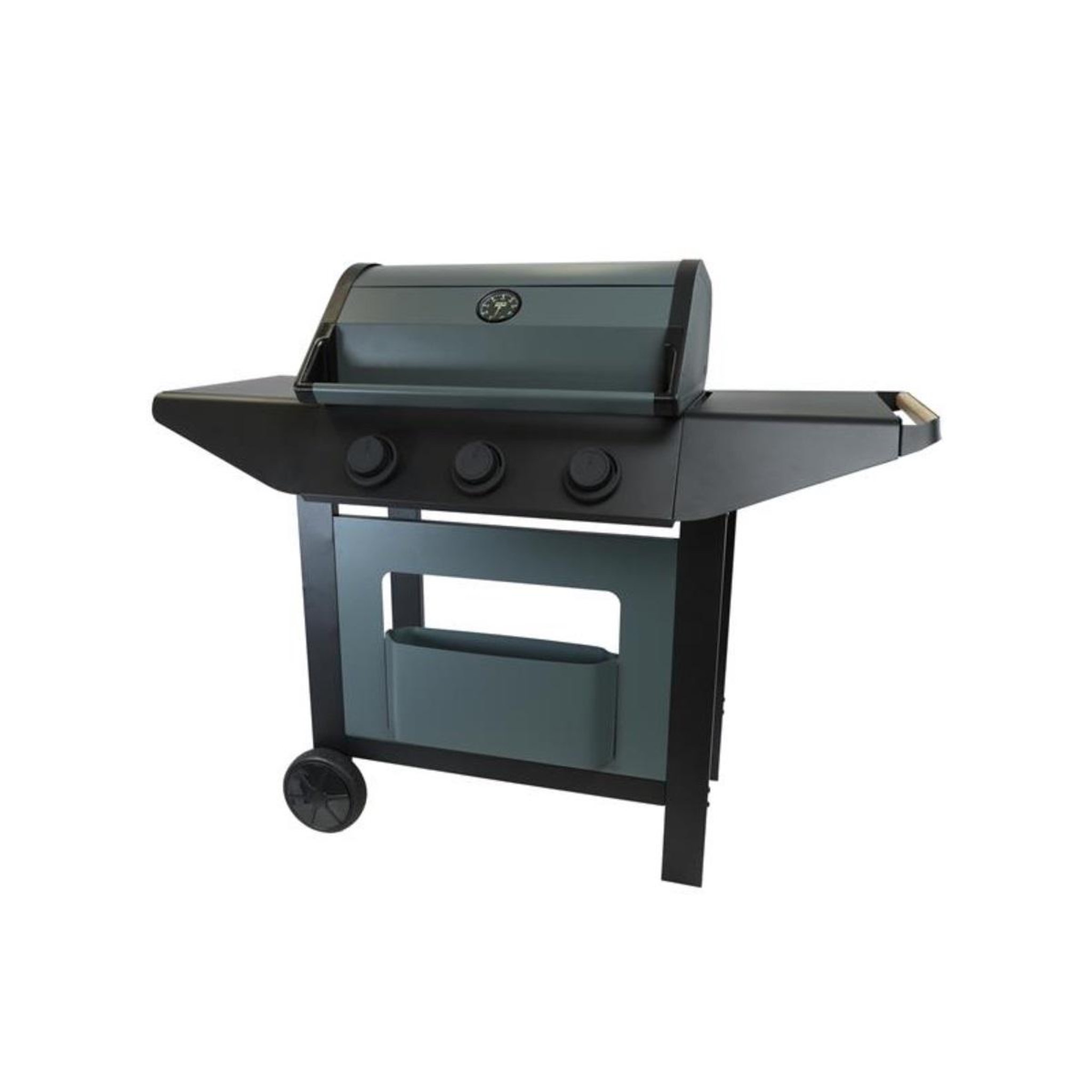 Voir la diapositive 2 : COOK IN GARDEN Barbecue gaz 3 feux 10.5kw - am253t