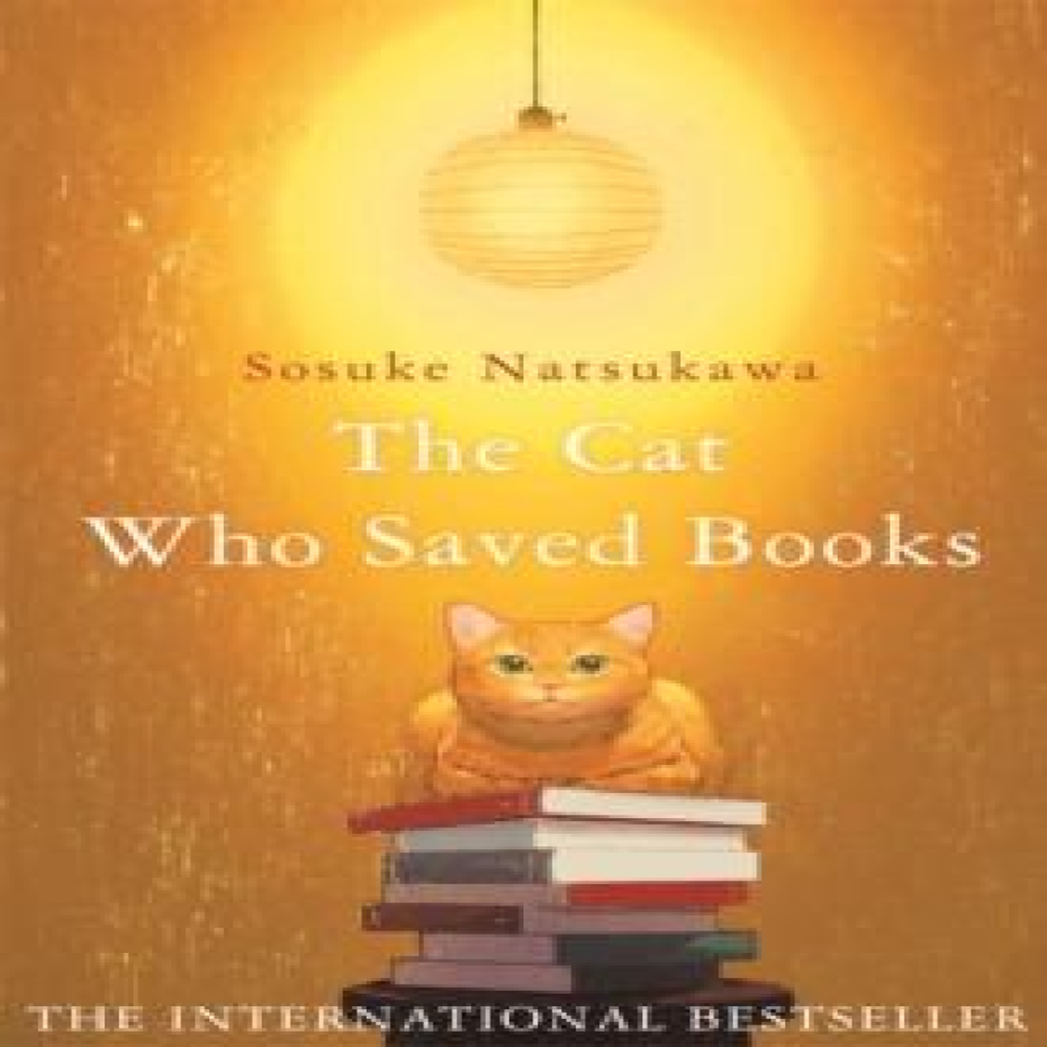 LIVRES The Cat Who Saved Books