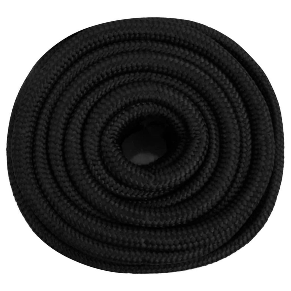 VIDAXL Corde de bateau Noir complet 20 mm 100 m Polypropylene