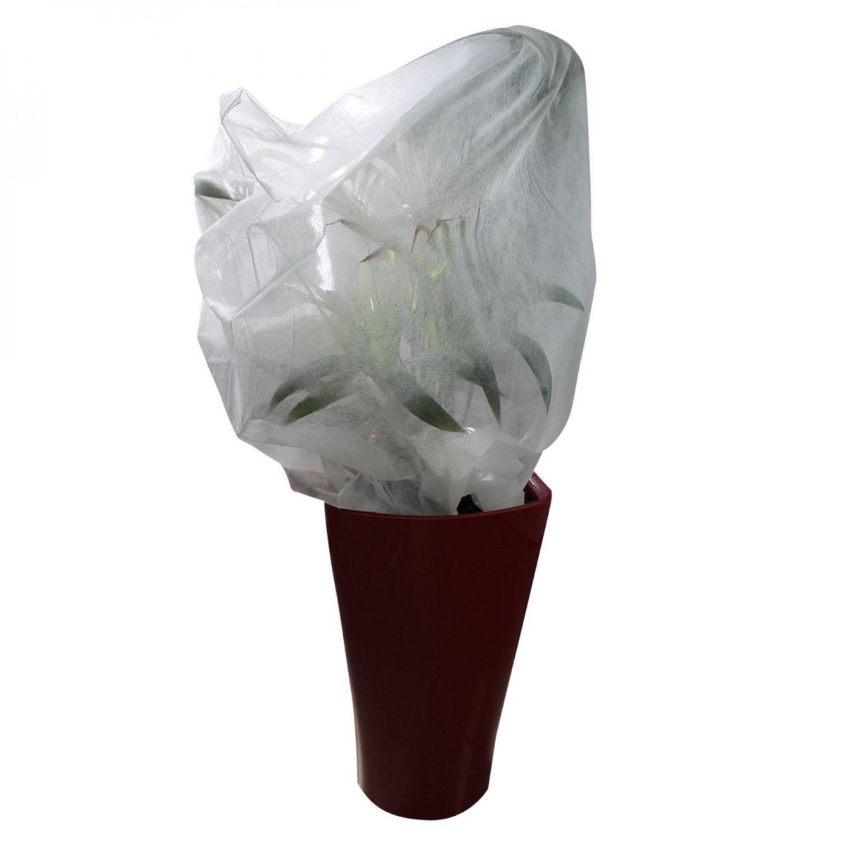 LINXOR Lot de 5 housses de protection pour plantes - 0.8 x 1 m - 30g/m2 - Blanc