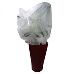 LINXOR Lot de 5 housses de protection pour plantes - 0.8 x 1 m - 30g/m2 - Blanc