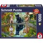 Schmidt Puzzle 1000 pièces : Rêvez en grand !