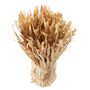 Voir la diapositive 2 : Paris Prix Bouquet de Fleurs Séchées  Soul  40cm Naturel