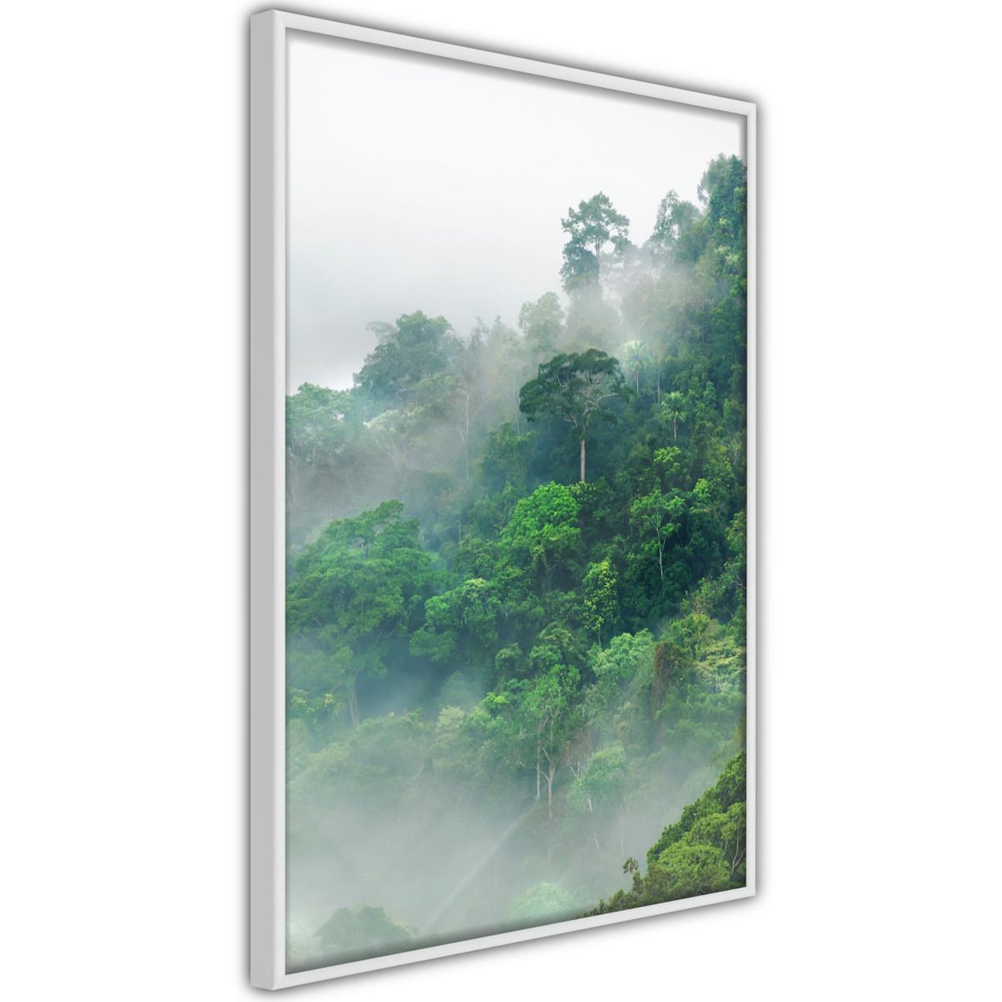 Paris Prix Affiche Murale Encadrée  Green Lungs of the Earth II