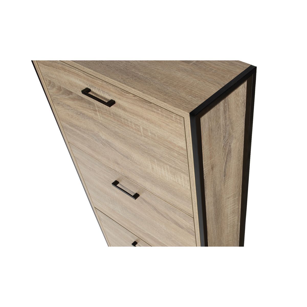 Meuble chaussures 3 portes THEO