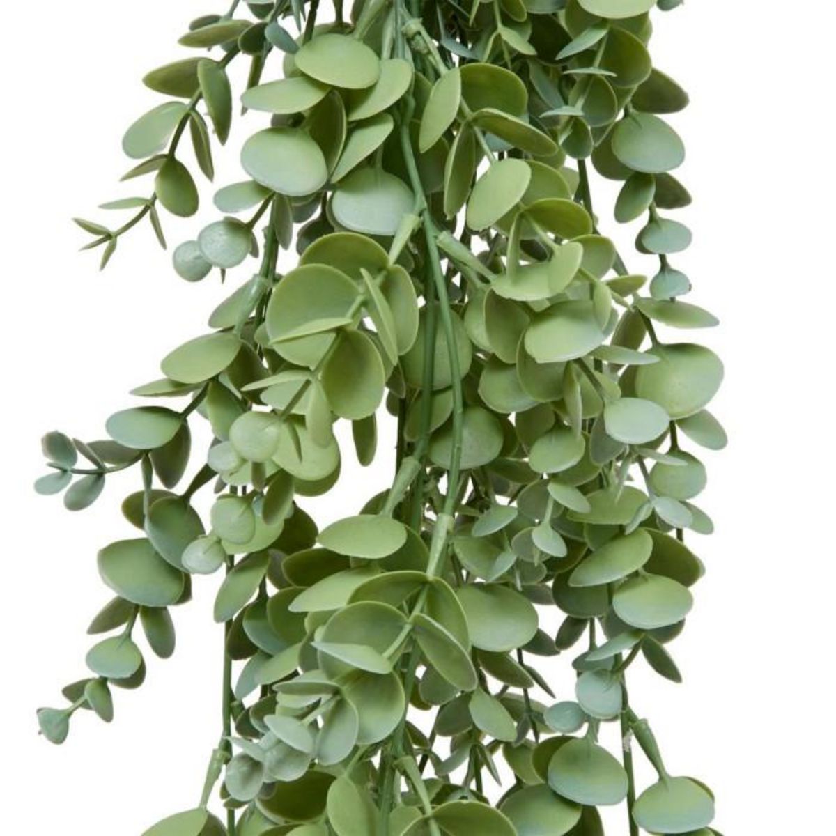 ATMOSPHERA Eucalyptus Artificiel Tombant  James  80cm Vert